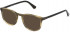 Police VPLD96 sunglasses in Shiny Striped Grey