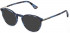 Police VPLD12N sunglasses in Shiny Blue/Havana