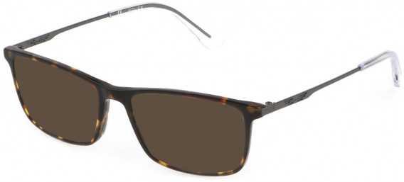 Police VPLD08 sunglasses in Shiny Dark Havana