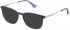 Police VPLD07 sunglasses in Shiny Blue Top/Grey