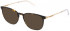 Police VPLD07 sunglasses in Shiny Dark Havana