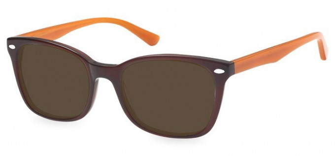 Sunglasses in Brown
