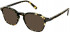 Police VPLC54 sunglasses in Shiny Pattern Brown/Yellow