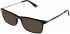 Police VPLB75 sunglasses in Shiny Black