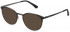 Police VPLB58 sunglasses in Matt Ruthenium