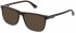 Police VPLB57 sunglasses in Shiny Dark Havana