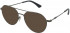 Police VPLB50 sunglasses in Shiny Gunmetal