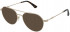 Police VPLB50 sunglasses in Shiny Total Rose Gold
