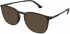 Police VPLB49 sunglasses in Matt Dark Havana
