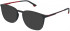 Police VPLB49 sunglasses in Shiny Full Anthracite Grey