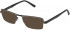 Police VPL257 sunglasses in Total Semi Matt Black