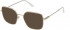Nina Ricci VNR296 sunglasses in Shiny Camel