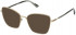 Nina Ricci VNR295 sunglasses in Shiny Camel