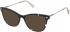 Nina Ricci VNR293 sunglasses in Shiny Transparent Violet Havana