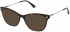 Nina Ricci VNR293 sunglasses in Shiny Dark Havana