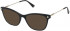 Nina Ricci VNR293 sunglasses in Shiny Black