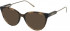 Nina Ricci VNR291 sunglasses in Melange Brown