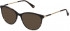Nina Ricci VNR255 sunglasses in Black Grey Havana
