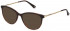 Nina Ricci VNR255 sunglasses in Shiny Light Havana