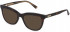 Nina Ricci VNR252 sunglasses in Shiny Dark Havana