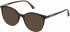 Nina Ricci VNR236 sunglasses in Shiny Yellow/Brown Havana