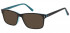 Sunglasses in Black/Clear Turquoise