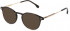 Lozza VL4298 sunglasses in Shiny Brown/Yellow Havana