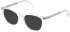 Lozza VL4291 sunglasses in Shiny Crystal