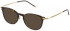 Lozza VL4279 sunglasses in Shiny Dark Havana