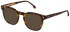 Lozza VL4274 sunglasses in Havana Brown
