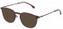 Lozza VL4272 sunglasses in Shiny Transparent Bordeaux Red