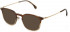 Lozza VL4272 sunglasses in Shiny Striped Ochre/Brown