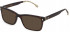 Lozza VL4268 sunglasses in Shiny Dark Havana