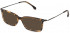 Lozza VL4266 sunglasses in Shiny Medium Havana