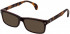 Lozza VL4244 sunglasses in Multilayer Havana