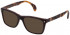 Lozza VL4242 sunglasses in Multilayer Havana