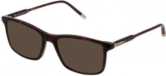 Lozza VL4237 sunglasses in Shiny Dark Havana