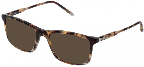 Lozza VL4237 sunglasses in Shiny Havana Striped Ochre