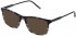 Lozza VL4237 sunglasses in Shiny Striped Grey Havana