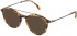 Lozza VL4224 sunglasses in Shiny Light Yellow Havana