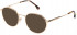Lozza VL2402 sunglasses in Shiny Total Rose Gold