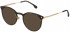 Lozza VL2376 sunglasses in Shiny Dark Havana