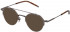 Lozza VL2363 sunglasses in Antique Palladium