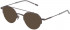 Lozza VL2363 sunglasses in Total Shiny Gun