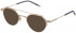 Lozza VL2363 sunglasses in Shiny Total Rose Gold