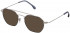 Lozza VL2362 sunglasses in Shiny Full Palladium