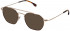 Lozza VL2362 sunglasses in Shiny Total Rose Gold