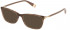 Furla VFU590 sunglasses in Shiny Brown/Beige Havana