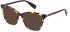 Furla VFU545 sunglasses in Shiny Havana/Soya