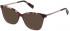 Furla VFU543 sunglasses in Shiny Variegated Pink/Bordeaux